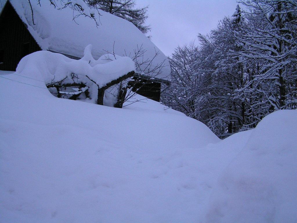 Na Slunecni Pohadkova Chaloupka Ve Sladke Dire Příchovice 외부 사진
